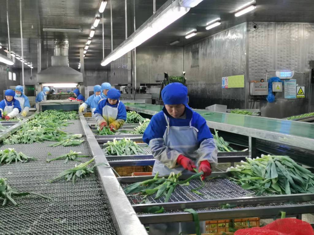 預(yù)制菜生產(chǎn)線定制方案與管理控制，如何組建預(yù)制菜的加工廠